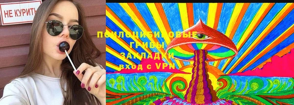 гидропоника Алексин