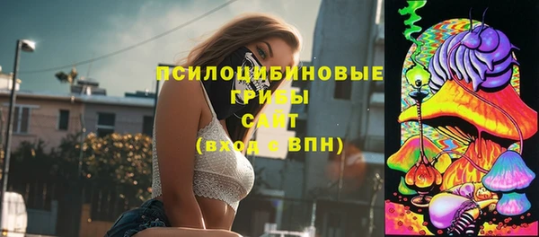 ALPHA PVP Алзамай